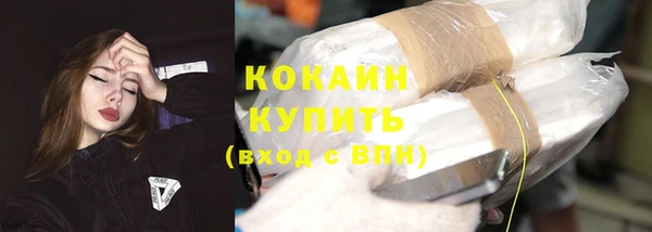 винт Абаза