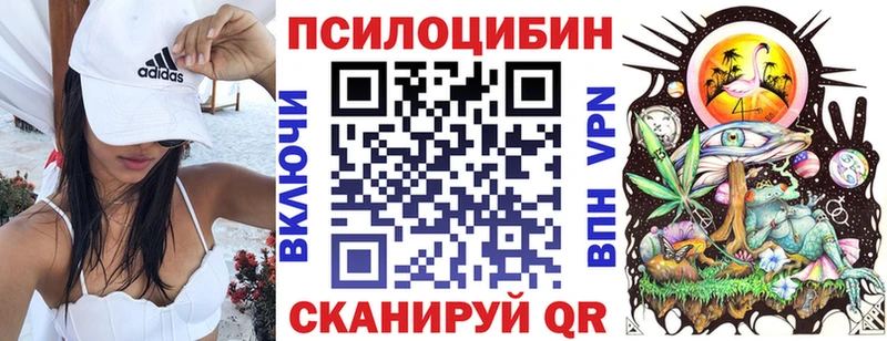 Псилоцибиновые грибы Magic Shrooms блэк спрут ТОР Правдинск сколько стоит